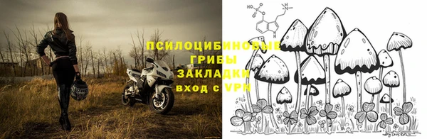 PSILOCYBIN Алексеевка
