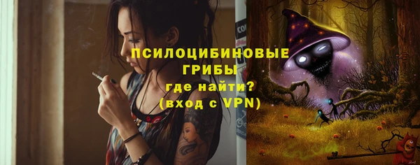 PSILOCYBIN Алексеевка