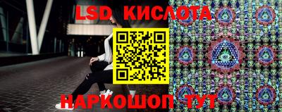 спайс Гай