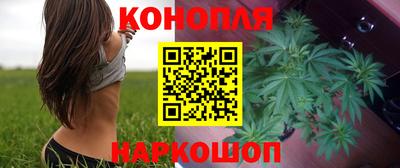 спайс Гай