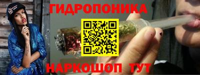 спайс Гай
