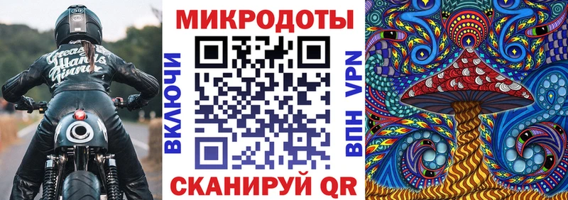 Псилоцибиновые грибы прущие грибы  цена   Камышлов 