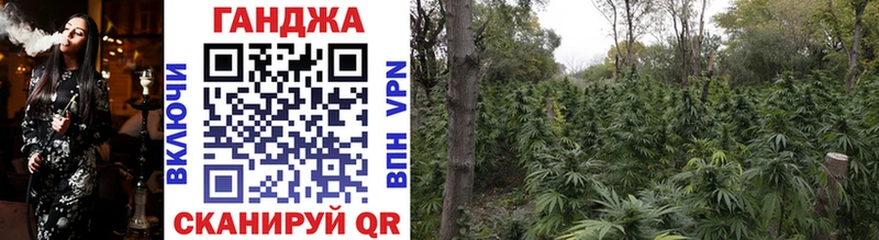 shop клад  сколько стоит  mega ТОР  Камышлов  Бошки Шишки THC 21% 